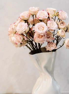 纯白轻奢高d端白色陶瓷花瓶摆件客厅插花现代简约水培鲜花器干花