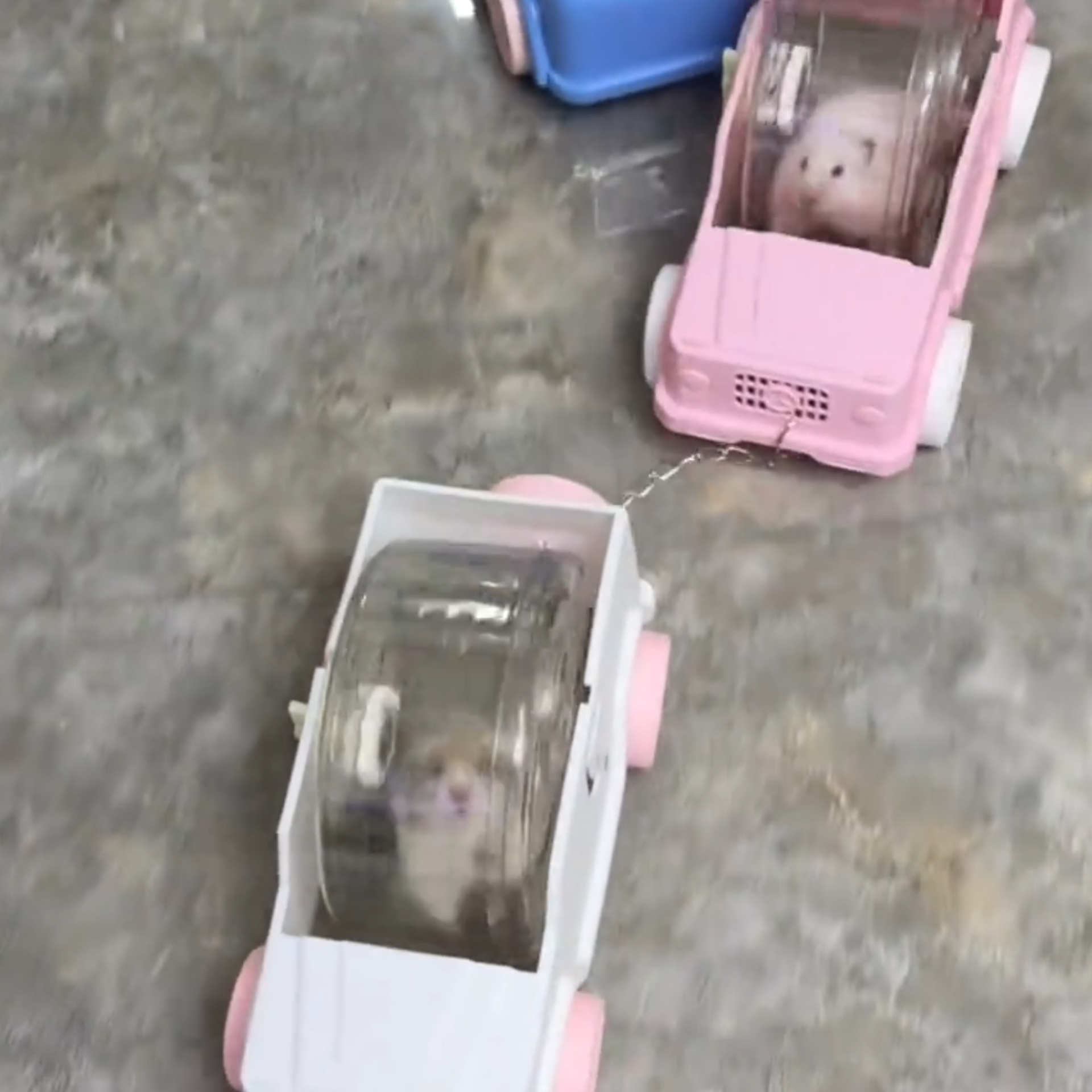 宠物仓鼠汽车跑轮金丝熊跑轮跑车仓鼠转滚轮汽车跑轮玩具用品