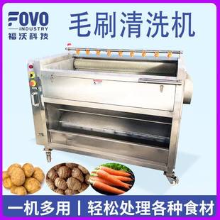 中药材升麻洗泥机商用黄连清洗机全自动喷淋辊刷绵马贯众清洗