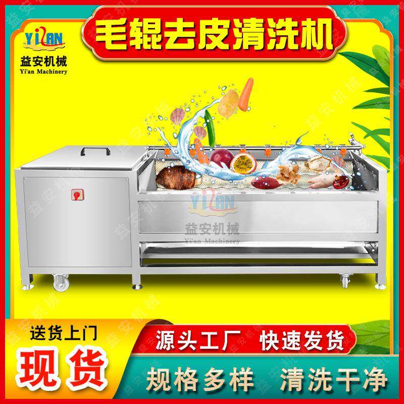 现货根茎类生姜毛辊清洗机去皮天麻玉竹药材清洗机人参黄精清洗机