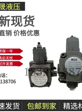QCIST秦川奇斯特VVP20AX,VVP40B,VVP30,VVP15A叶片泵VVP12D/70/55
