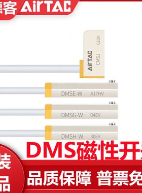 亚德客IP68级防水DMS电子两线磁性接近开关DMSG/DMSH/DMSE-020-W