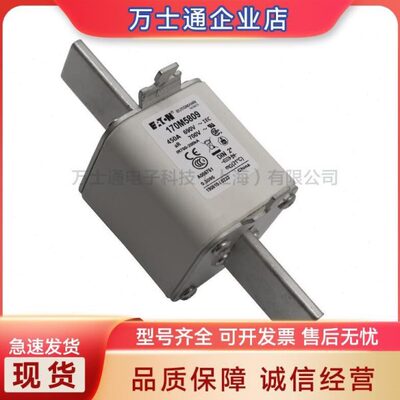 170M5738 170M5739 170M5740 170M5741 170M5742 170M5743熔断器