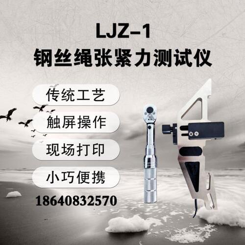 LJZ-1钢丝绳张紧力测试仪钢丝绳张力测试仪张紧力检测仪