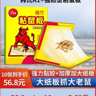 超强力粘鼠板贴加大加厚抓灭粘捕鼠器神一窝老鼠捉粘大老鼠家用端