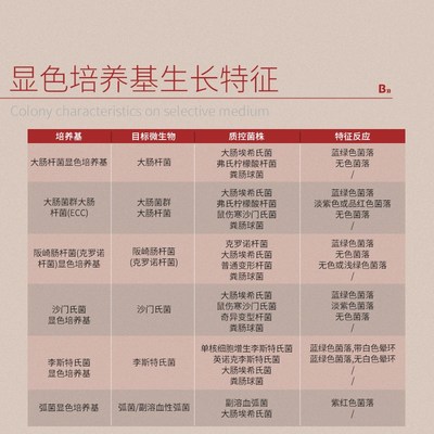 比克曼生物大肠菌群显色培养基ECC沙门弧菌阪崎肠杆菌李斯特氏菌