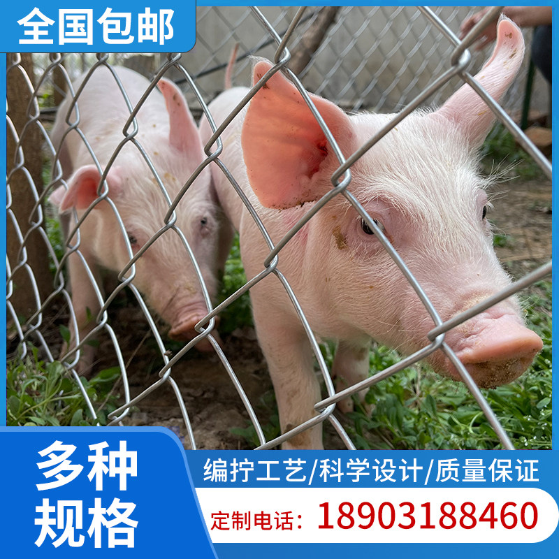 热镀锌铁丝网勾花网养鸡网养殖网果园网格防护网院墙围栏网荷兰鸡,五金/工具,护栏/隔离栏,淘宝优惠券,粉丝福利购,淘宝优惠卷