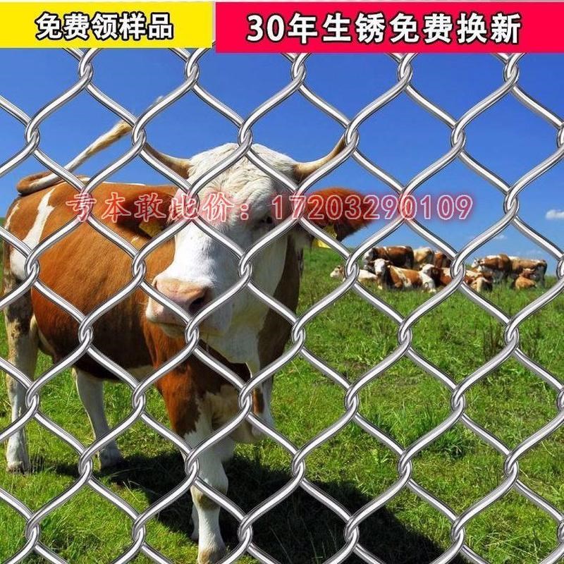 热镀锌铁丝网围网养牛羊鸡狗养殖网勾花网钢丝网养猪围栏庭院