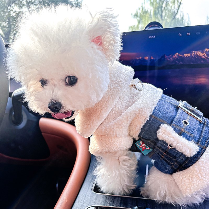 现货跨境爆款宠物小狗猫咪衣服z源头工厂秋冬款英伦格纹外套两脚