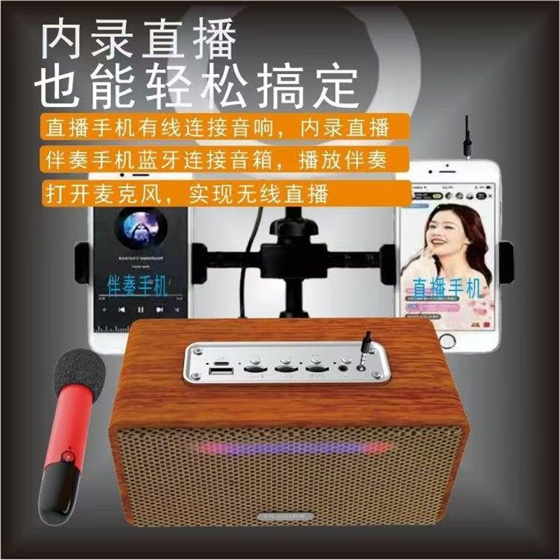 真U段无线麦克风i 家庭户外KTV迷你套装直播声卡K歌蓝牙音响带话