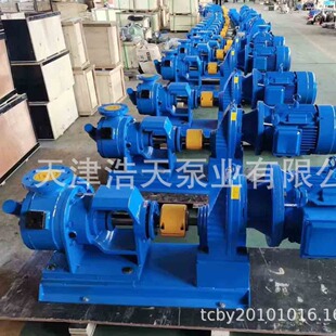 环氧树脂转子泵NYP 油漆稠油 胶水 聚氨酯 沥青 液压油机油转子泵