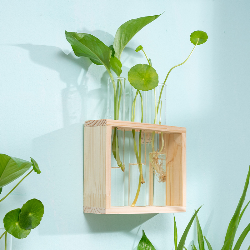 水培花瓶试管水养绿植插花植物容器简约木架摆件台面X装饰玻璃花