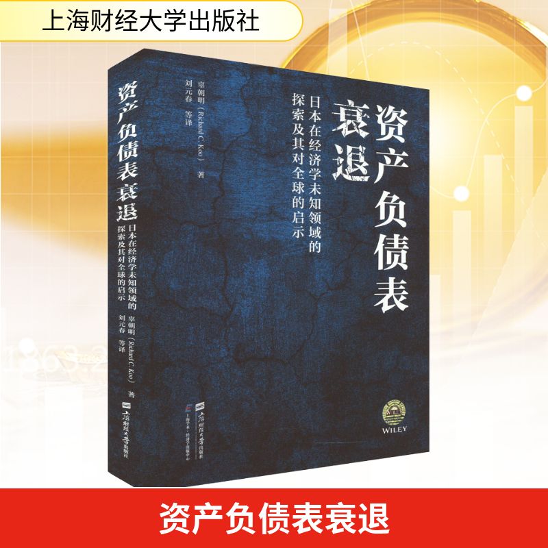 资产负债表衰退 日本在经济学未知领域的探索及其对全球的启示 上海财经大学出版社 (美)辜朝明 著 刘元春 等 译