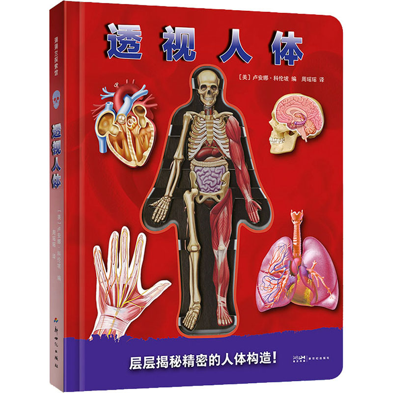 透视人体 新世纪出版社 (美)卢安娜·科伦坡 编 周瑶瑶 译 科普百科