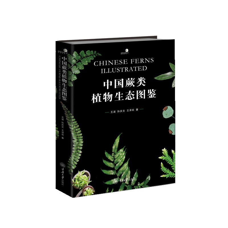 中国蕨类植物生态图鉴王波  孙庆文  王泽欢重庆大学出版社自然科学/生命科学/生物学