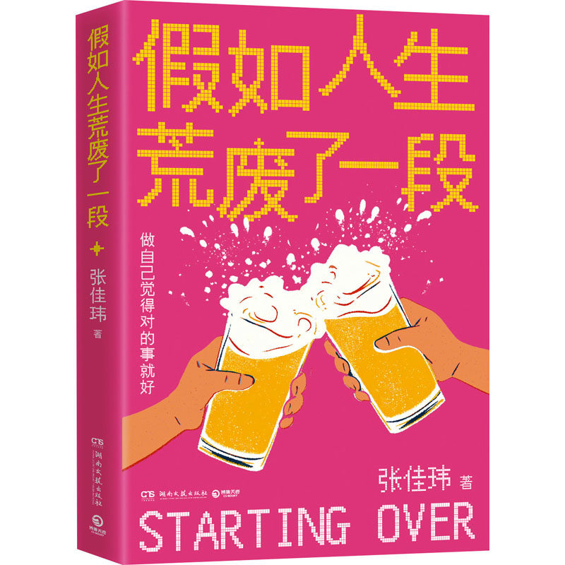 假如人生荒废了一段 湖南文艺出版社 张佳玮 著