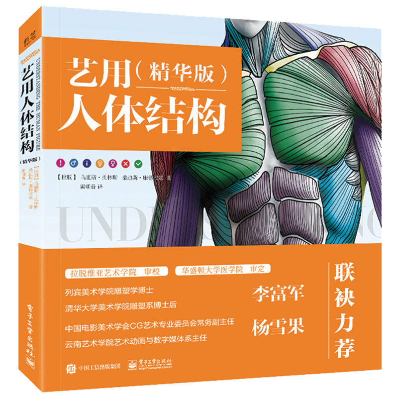 艺用人体结构(精华版)人物解剖教程零基础初学者肌肉骨骼造型技法书 电子工业 素描绘画书插画画册画集手绘伯里曼教学书正版 K