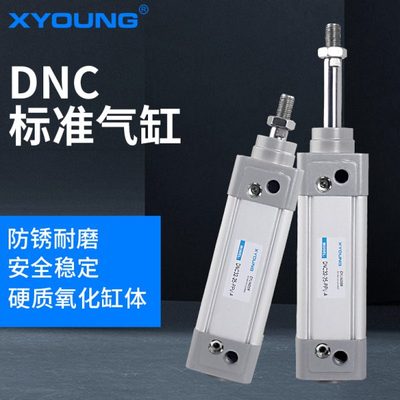 气动DNC50-150标准气缸DNC50-175-PPV-A带磁标准气缸DNC50-200