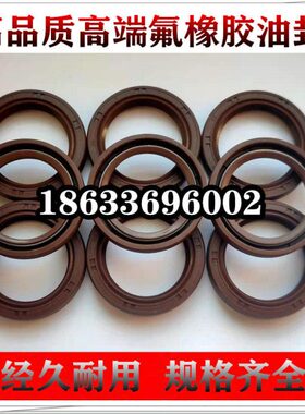 氟胶骨架油封 160X180X185X190X200 X10 X12 X13 X14 X15 X16FKM7
