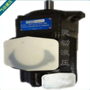 028 T6D 0381R01 035 031 024 020 017 叶片泵 法国丹尼逊原装