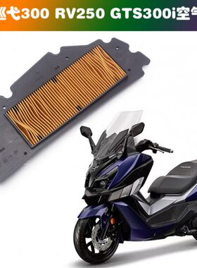 适用SYM三阳巡弋JOYMAX九妹Z300 XS300T GTS RV250空气格空气滤芯