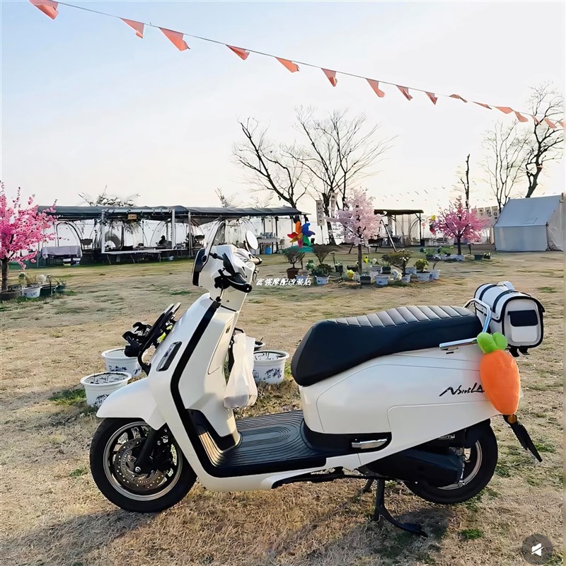 适用摩托车尾箱包复古后座包电u动车皮尾箱本田25款NS125LA后尾包