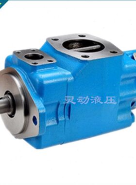 4525V-42-45-50-57-60-66-75/10-12-14-15-17-19-21双联叶片泵