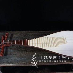 丁越琵琶乐器专业演奏考级琵琶非洲红木琵琶花梨琵琶手工红木琵琶