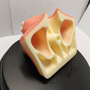 牙齿模型 口腔种植模型 上颌窦提升练习牙齿模型口腔教学