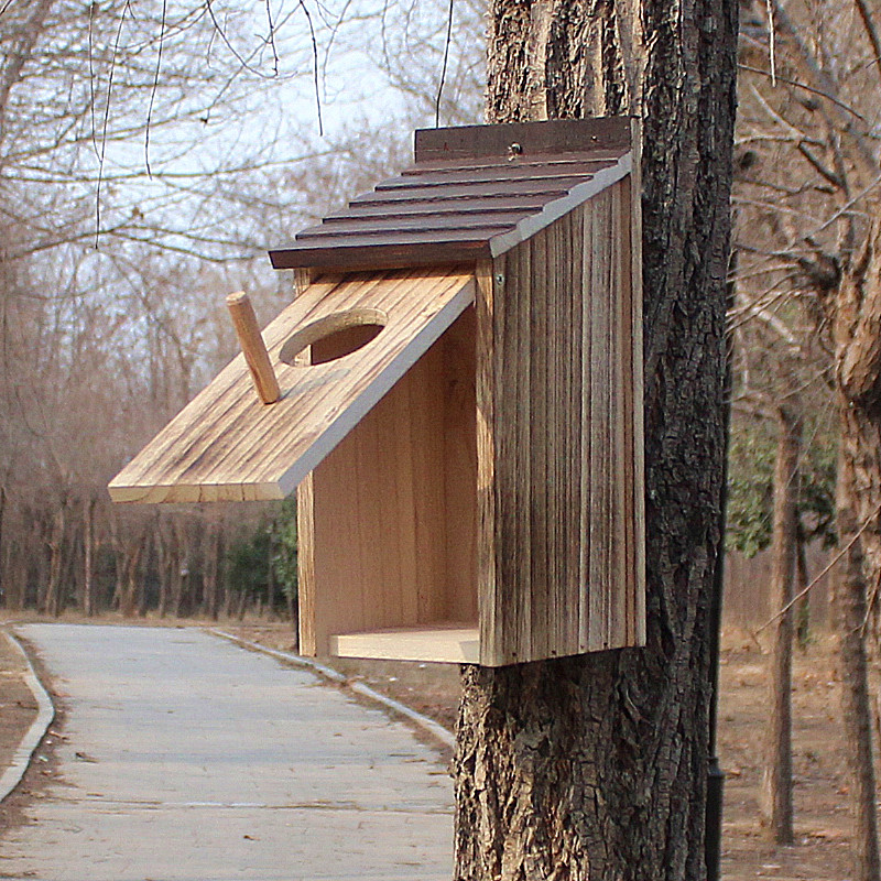 绿色校园实木小鸟窝户外鹦鹉室内繁殖箱保暖定制防雨鸟巢孵化护林,宠物/宠物食品及用品,鸟窝,淘宝优惠券,粉丝福利购,淘宝优惠卷