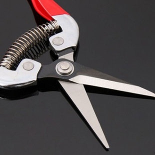 多功能专用摘果剪稀果剪摘葡萄树枝剪省力园艺剪刀花卉木家用套装