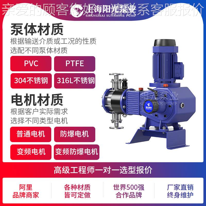 DY-Z93R型液压膜式计泵隔 隔膜计泵量厂家加药计量泵膜片量计量泵