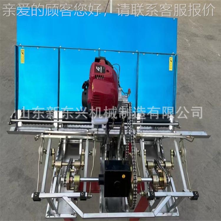扶式轻型4行水稻手插秧机 由式6行种自ARP机秧苗移植栽机