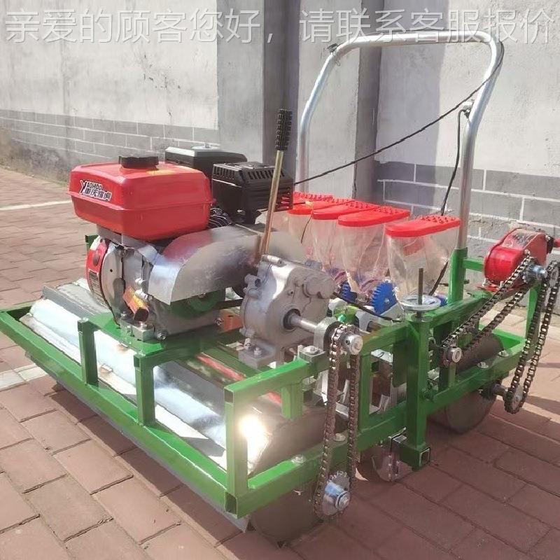 行油精播机 免间苗青菜育苗十汽播种机 自ITT走式小粒种子点播机