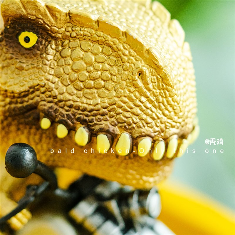 秃鸡!骑上我的小摩托~金色霸王龙骑摩托 惯性玩具 摆件