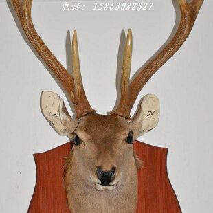 酒吧挂件 家居聚财摆件 墙饰A42样板房商务会所 工艺鹿头标本壁挂