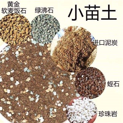 succulent veigetable spec, soil, granule, stone spec nutrien