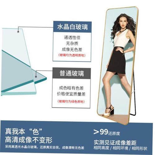 metal frame rackn full-body mirror wall mirrow Bedroom mirro