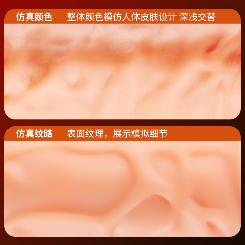 Realistic Dildos Silicone Layer Penis with Suction Cup Adult