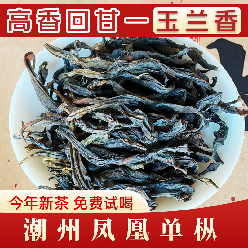 潮州凤凰单枞玉兰香浓香型鸭屎香