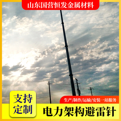 30米热镀锌避雷塔避雷针独杆避雷塔 加气站专用厂家供应