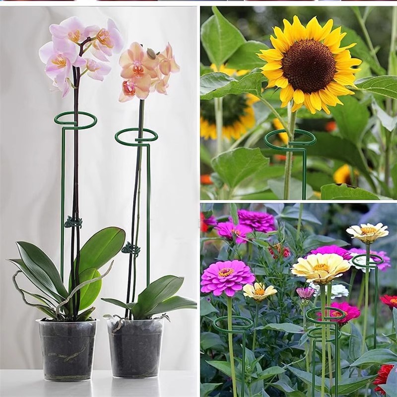 植物防倒伏支架铁艺绣球吊兰支撑杆园艺固定架爬藤花卉朱顶红花架