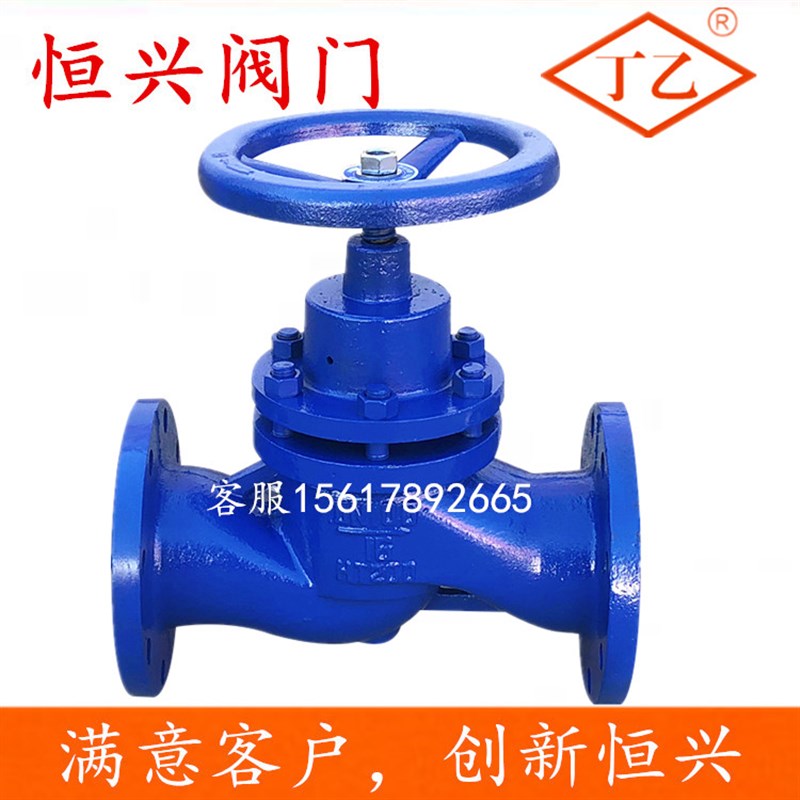 U41S-16高温 法兰柱塞阀 蒸汽锅炉 截止阀DN50 2N5 40 65 80 100