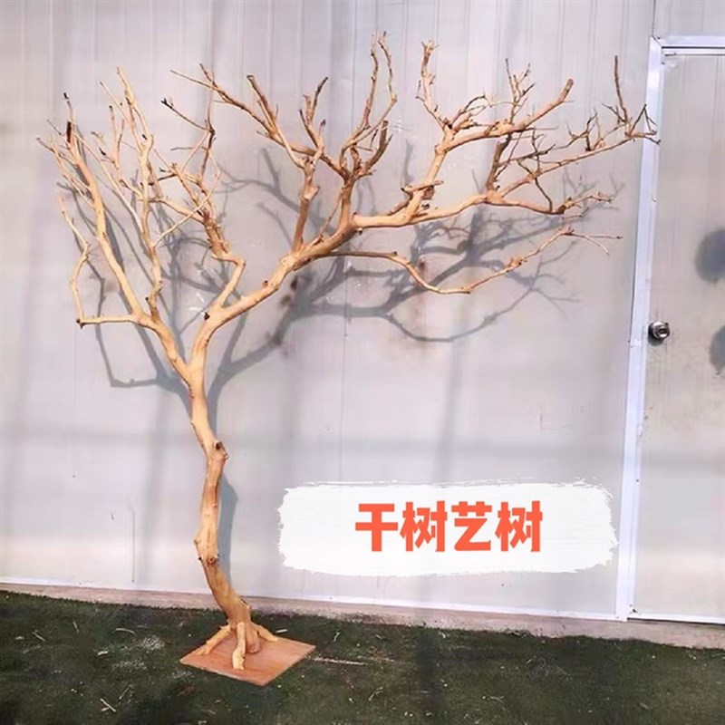 去皮干树枝造景干枝树干许愿树枯树室内造型树枝干原木树枝装饰树