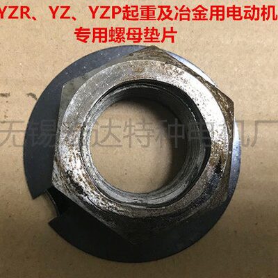 YZ、YZP、YZR200L-6级-22/26KW绕线电机专用固定螺丝压紧螺母垫片