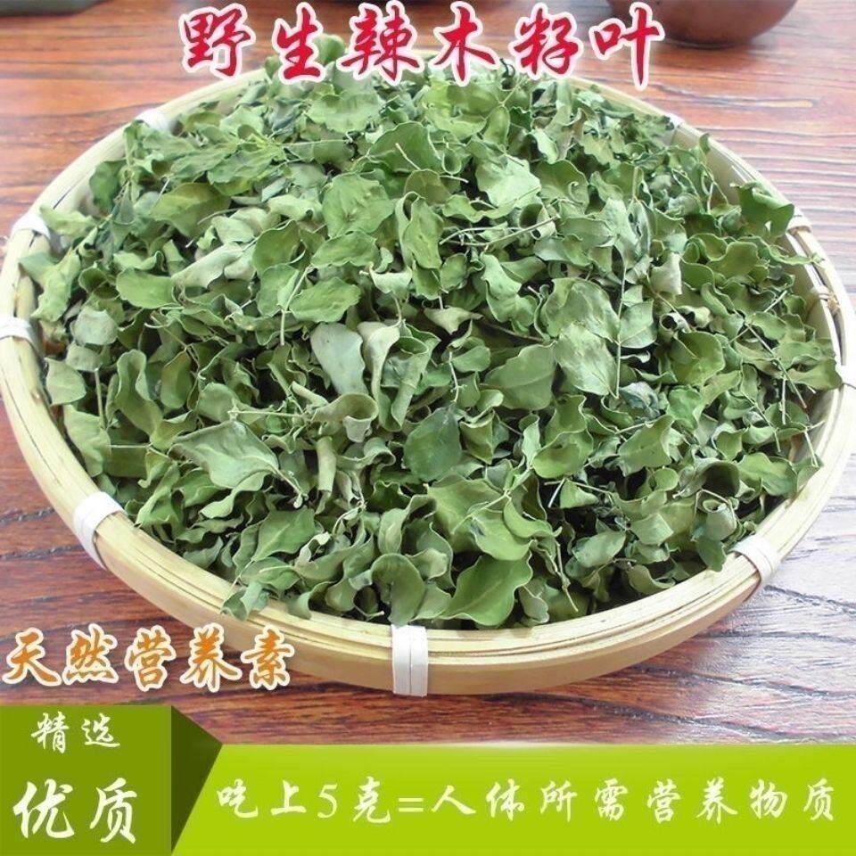 今年辣木叶 新叶天然辣木干叶云南辣木茶辣木叶片纯天然野生无硫