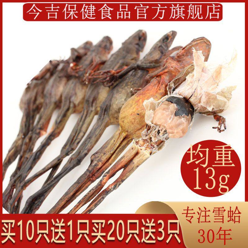 今吉雪蛤干整只东北林蛙正宗长白山蛤蟆油林蛙干13g雪蛤油林蛙油
