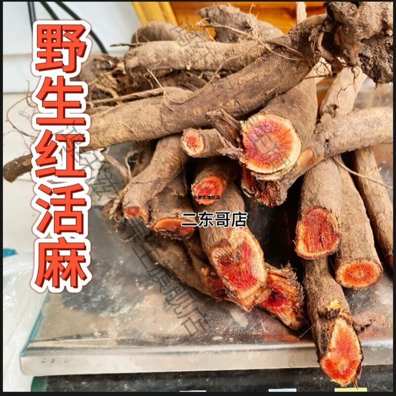 原料正宗野外红活麻红荨麻红禾麻红河麻草贵州新鲜红火去风减湿中