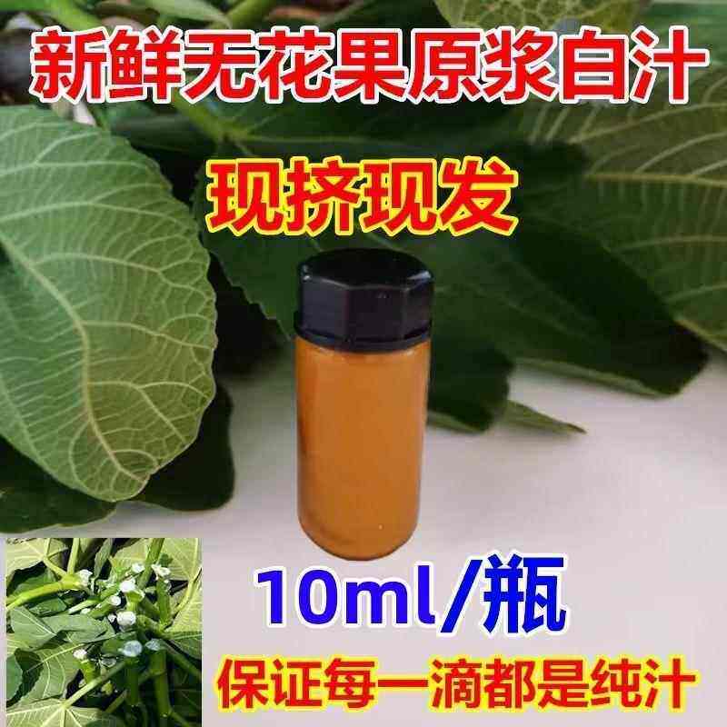 新鲜无花果白汁青皮原浆乳液白浆无花果茎枝叶汁液现挤
