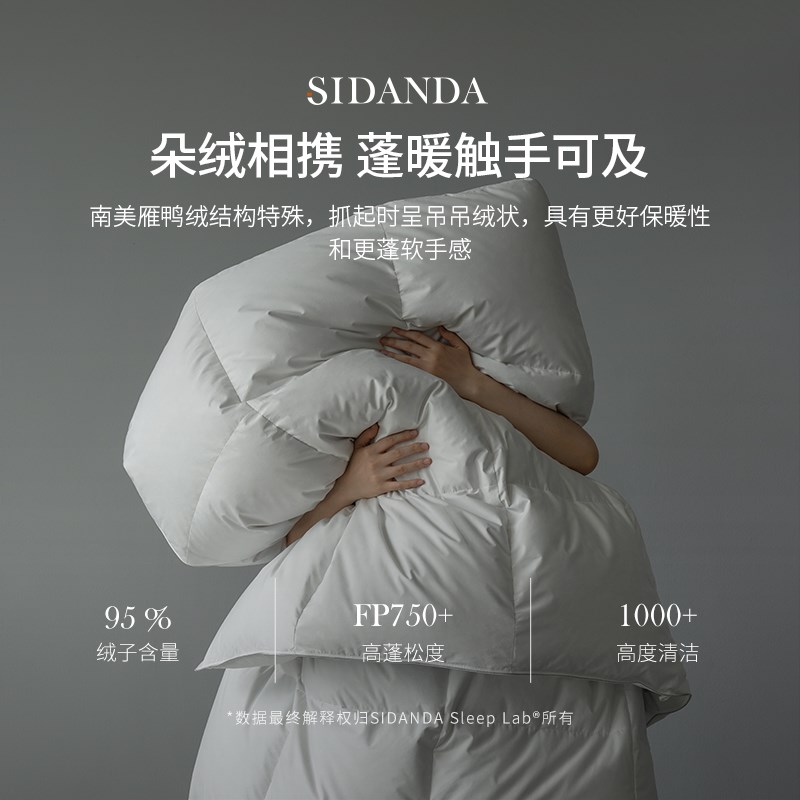 SIDANDA南美雁鸭绒95羽绒被冬被加厚保暖被子被芯全棉春秋被